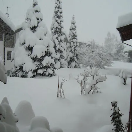 Bachler * Brixen im Thale