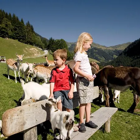 Bachler Brixen im Thale