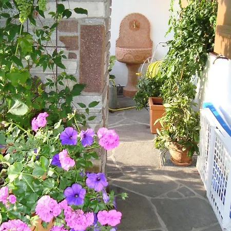 Bachler بريكسن ام تاله
